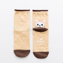 Load image into Gallery viewer, Striped Dog Socks